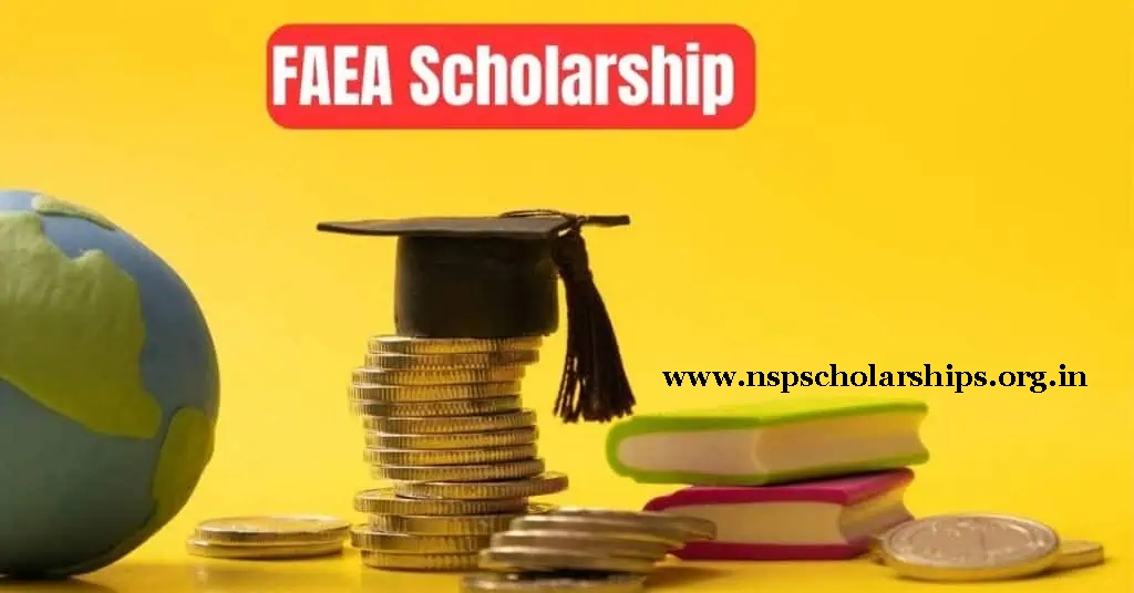 About FAEA Scholarship