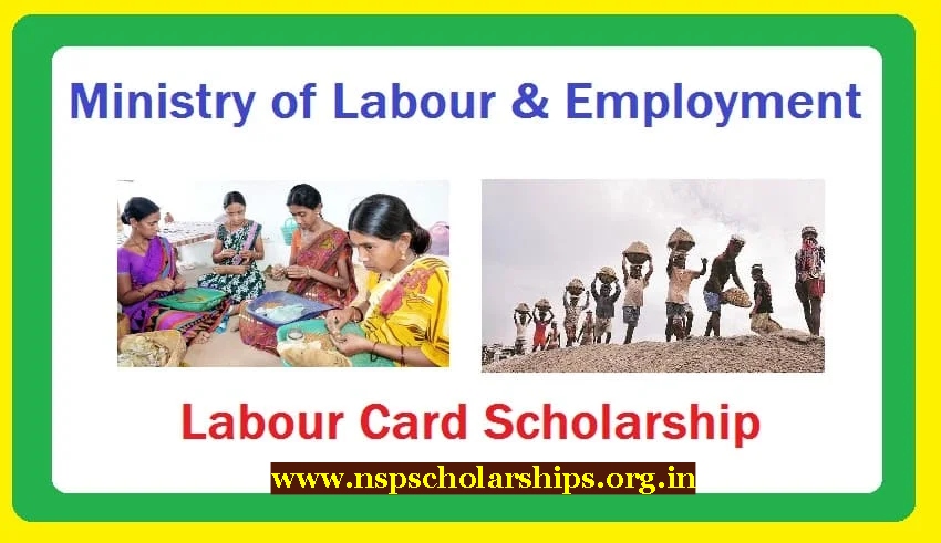 Overview of Labour Card Scholarship 2024