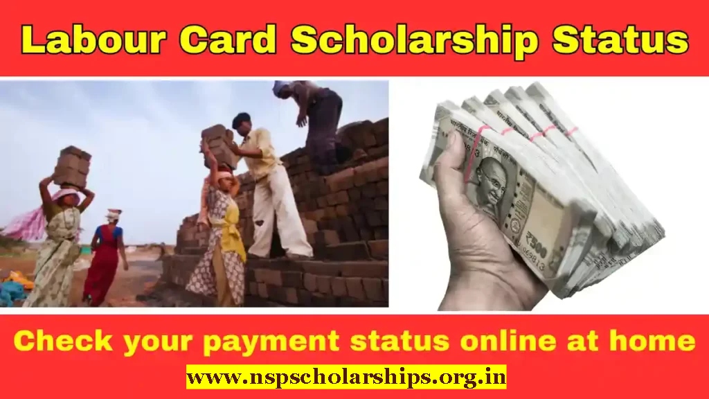 Labour Card Scholarship Status