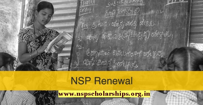 What Is NSP Renewal 2024?