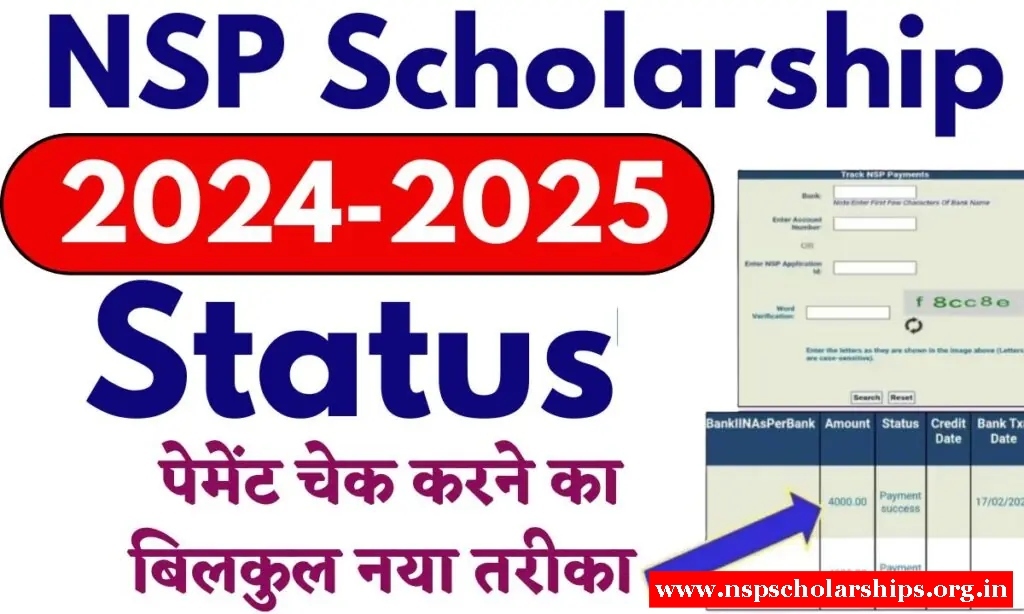 National Scholarship Scheme Application Status