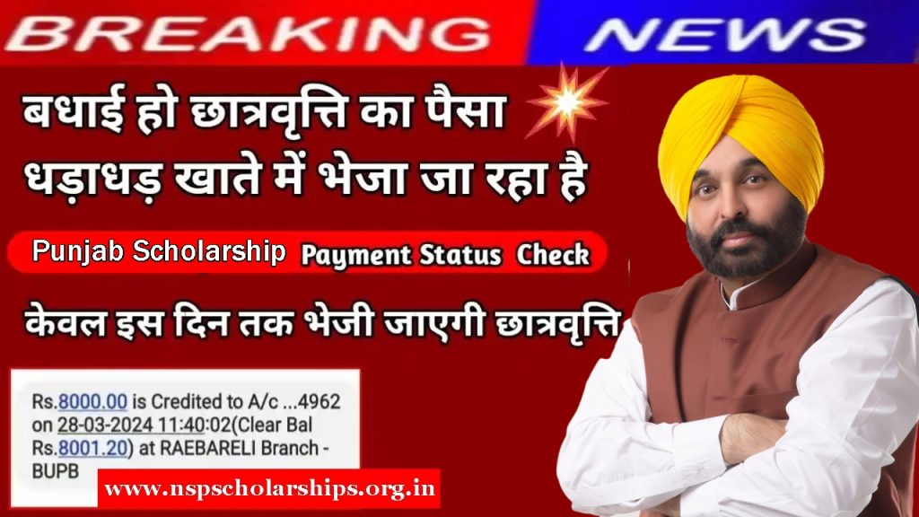 Punjab Scholarship Payment Status