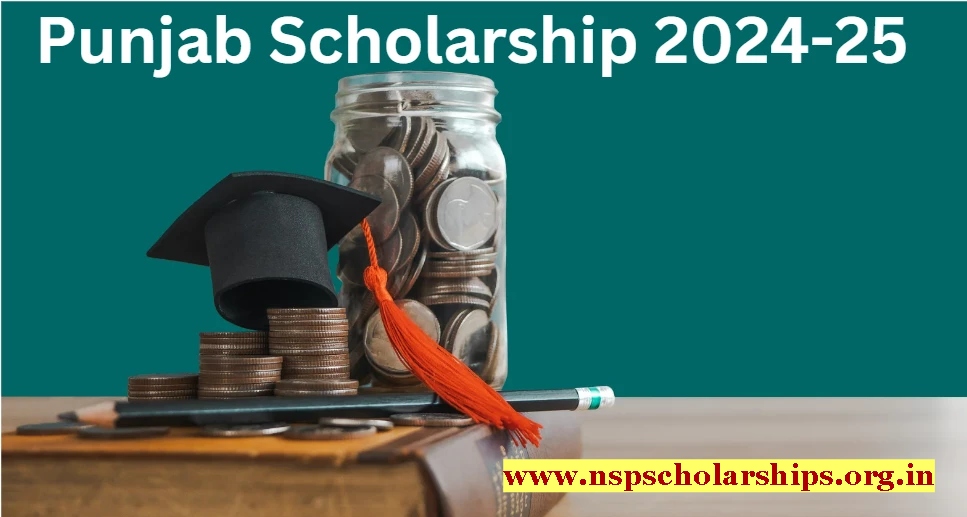 Punjab scholarship 2024