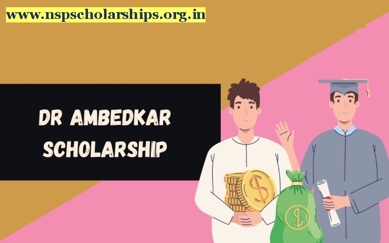 Importance of Dr Ambedkar Scholarship