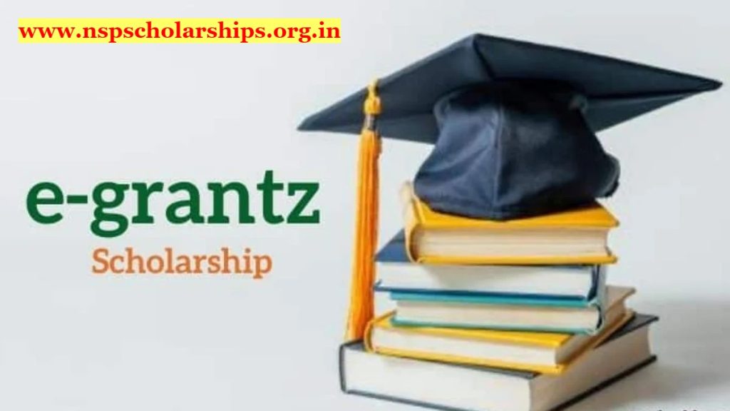 What is E Grantz Scholarship?