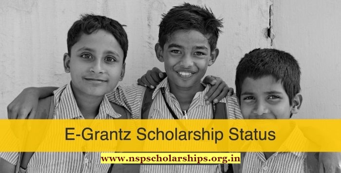 Check E Grantz Scholarship  Status