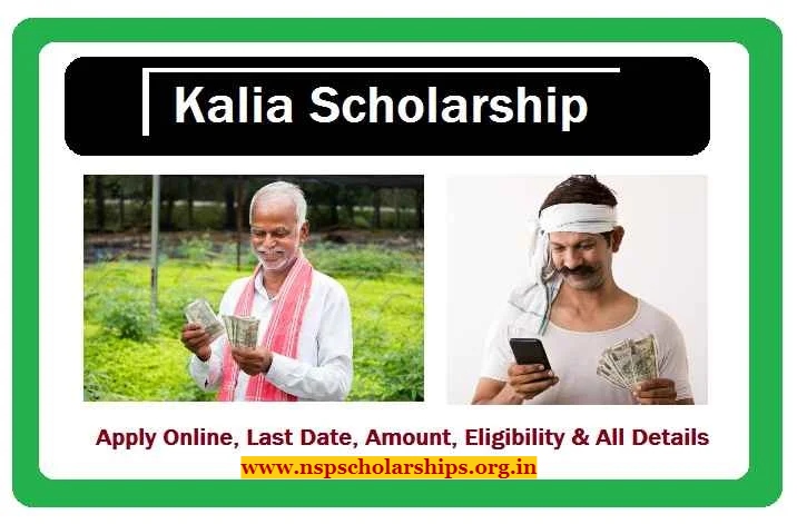 KALIA Scholarship 2024 Apply Online