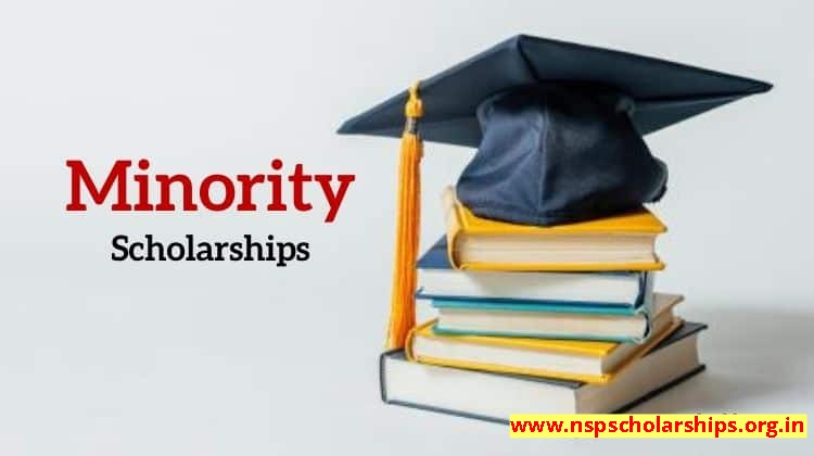 What Is Minority Scholarship?