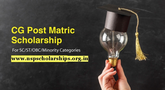 What is a Post-Matric Scholarship?