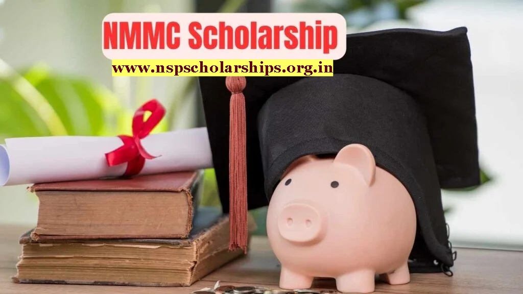 Overview of the NMMC Scholarship