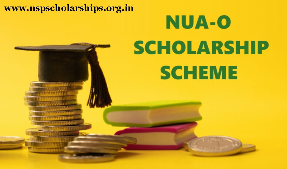 About NUA O Scholarship